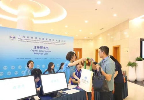 岛城青年志愿者 以创意广告助力上合家园共建