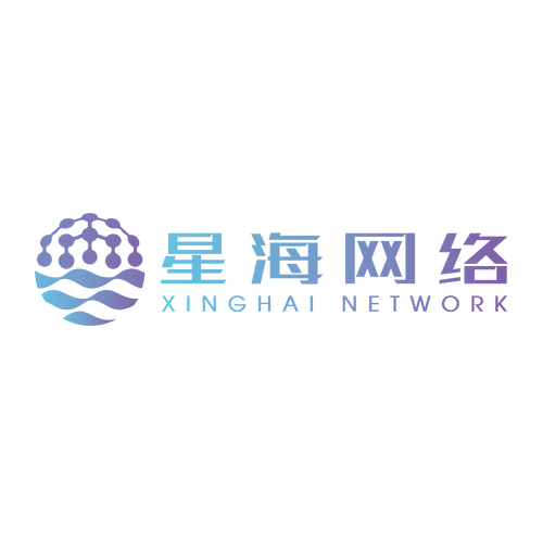 星海网络 以技术创新驱动数字未来的行业先行者